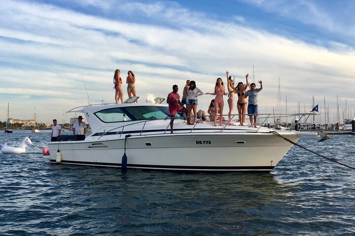 St Kilda Penguin Cruise on a Small Sporta Yacht VooDoo