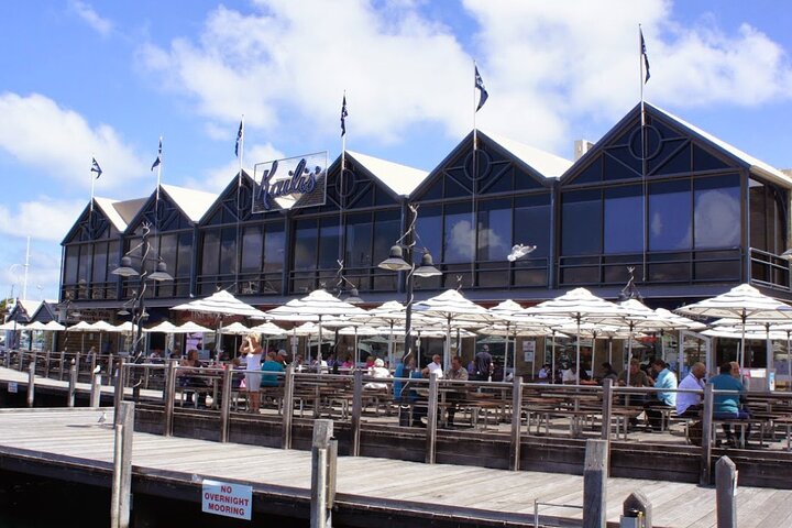 A Wild West Whale Watching Adventure in Perth