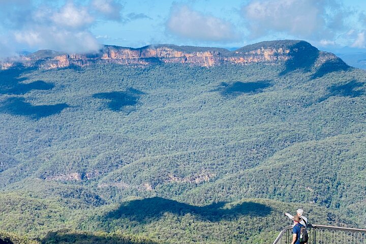 Wild Kangaroos, Blue Mountains and a Cruise