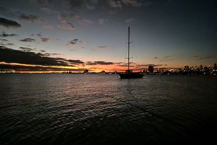St Kilda Penguin Cruise on a Small Sporta Yacht VooDoo