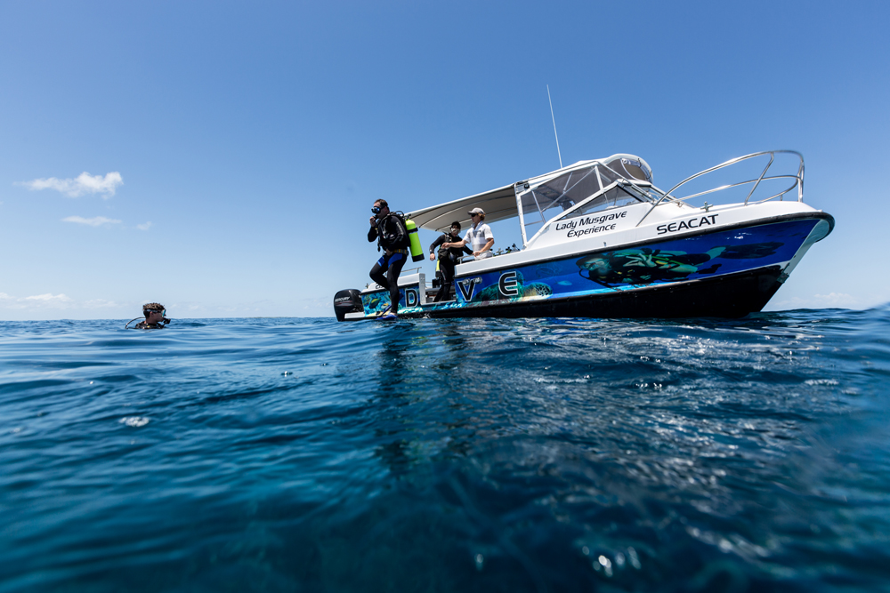 Lady Musgrave Island Outer Reef Double Dive Experience