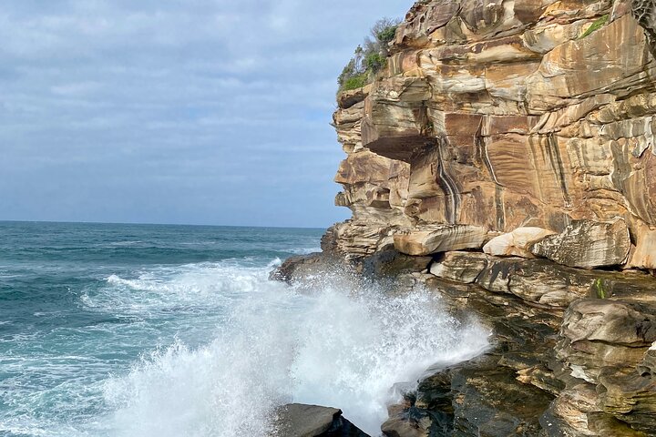 Sydney Beaches Half Day Drive and Walk Tour