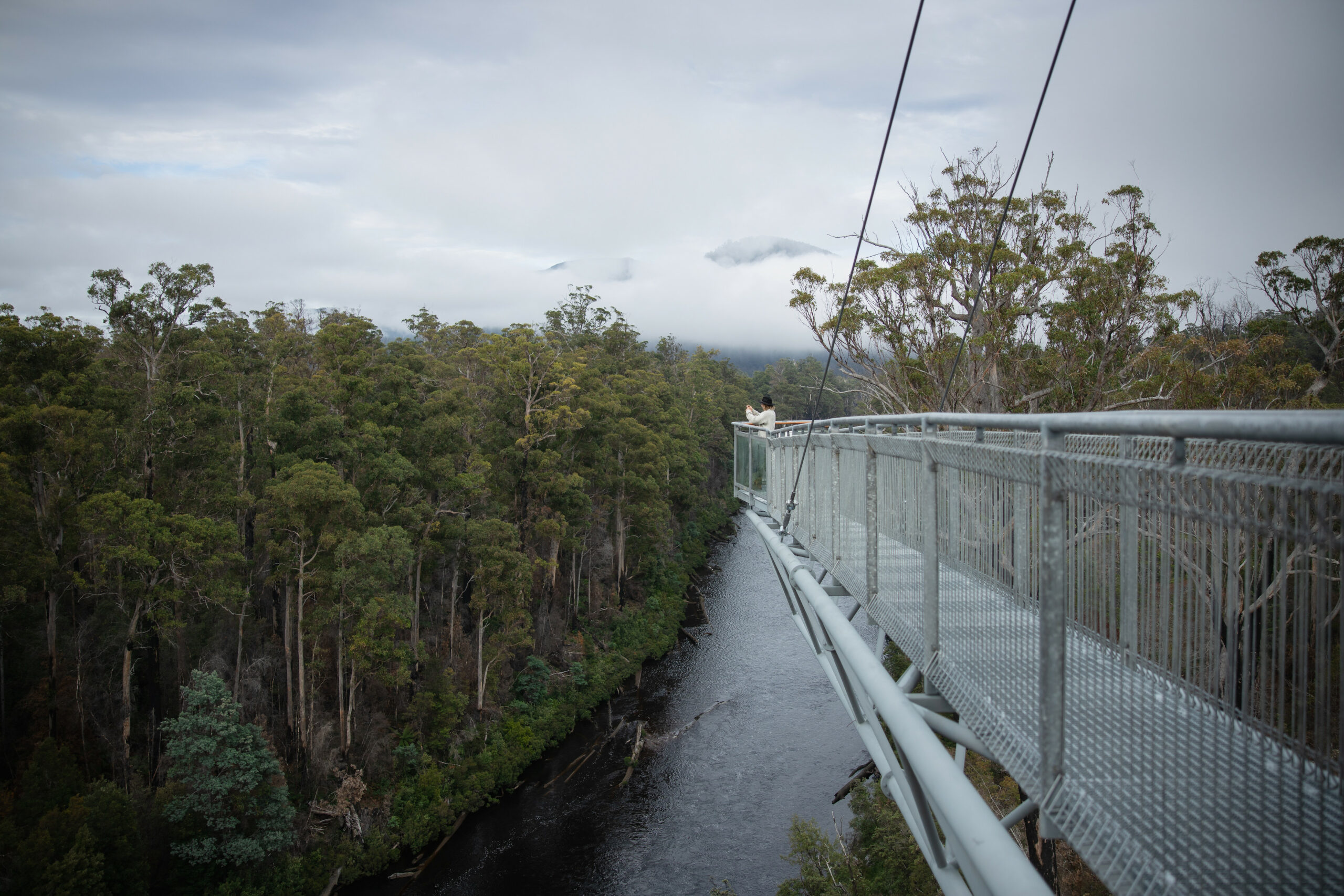 Hastings cave, Tahune Airwalk and the Huon tasting trail