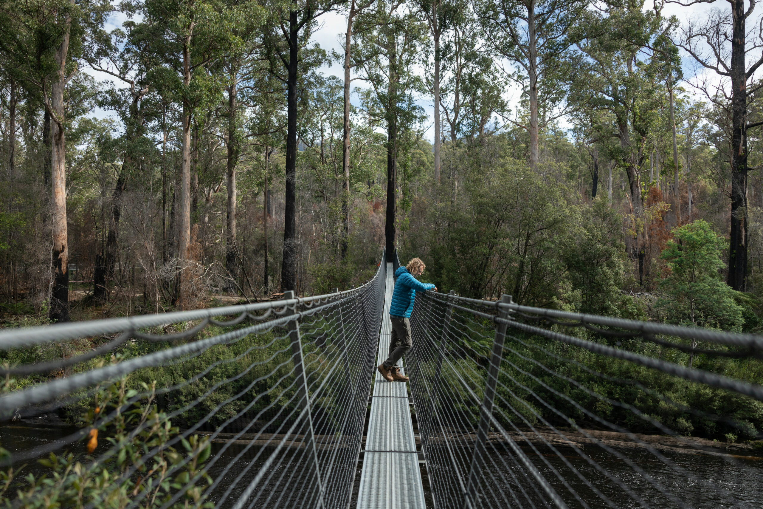 Hastings cave, Tahune Airwalk and the Huon tasting trail