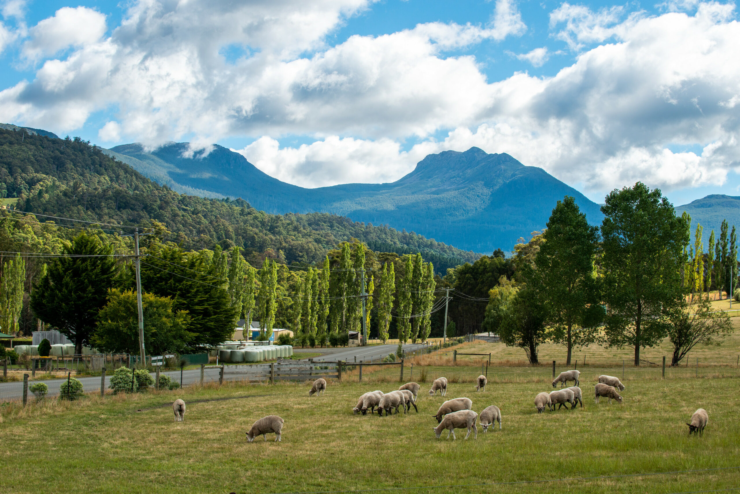 Hastings cave, Tahune Airwalk and the Huon tasting trail