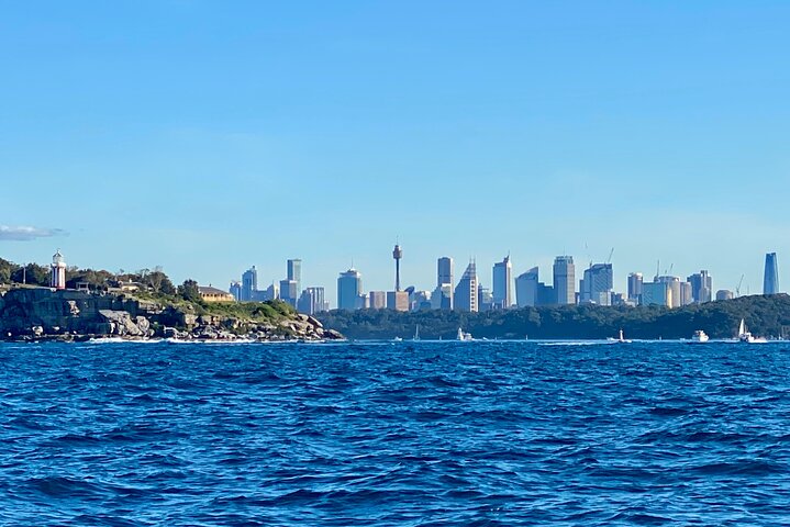 Sydney Beaches Half Day Drive and Walk Tour