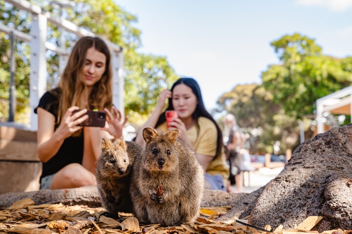 Rottnest Island Segway Tour: Settlement Explorer Tour