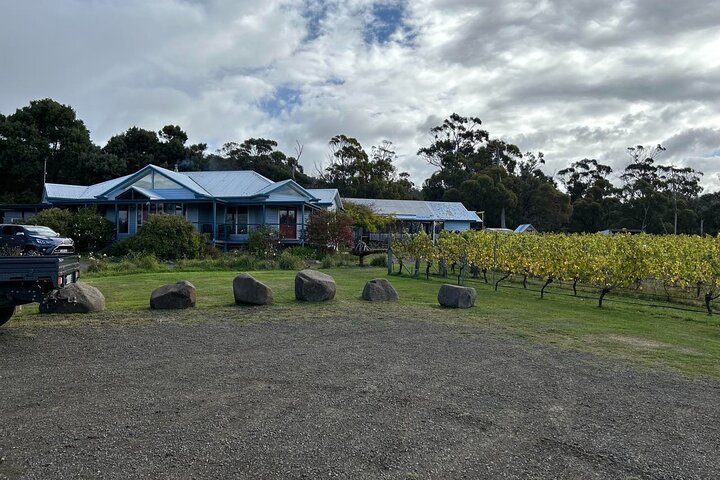 Huon Valley Wine and Cider Tour Hobart and SE Tasmania