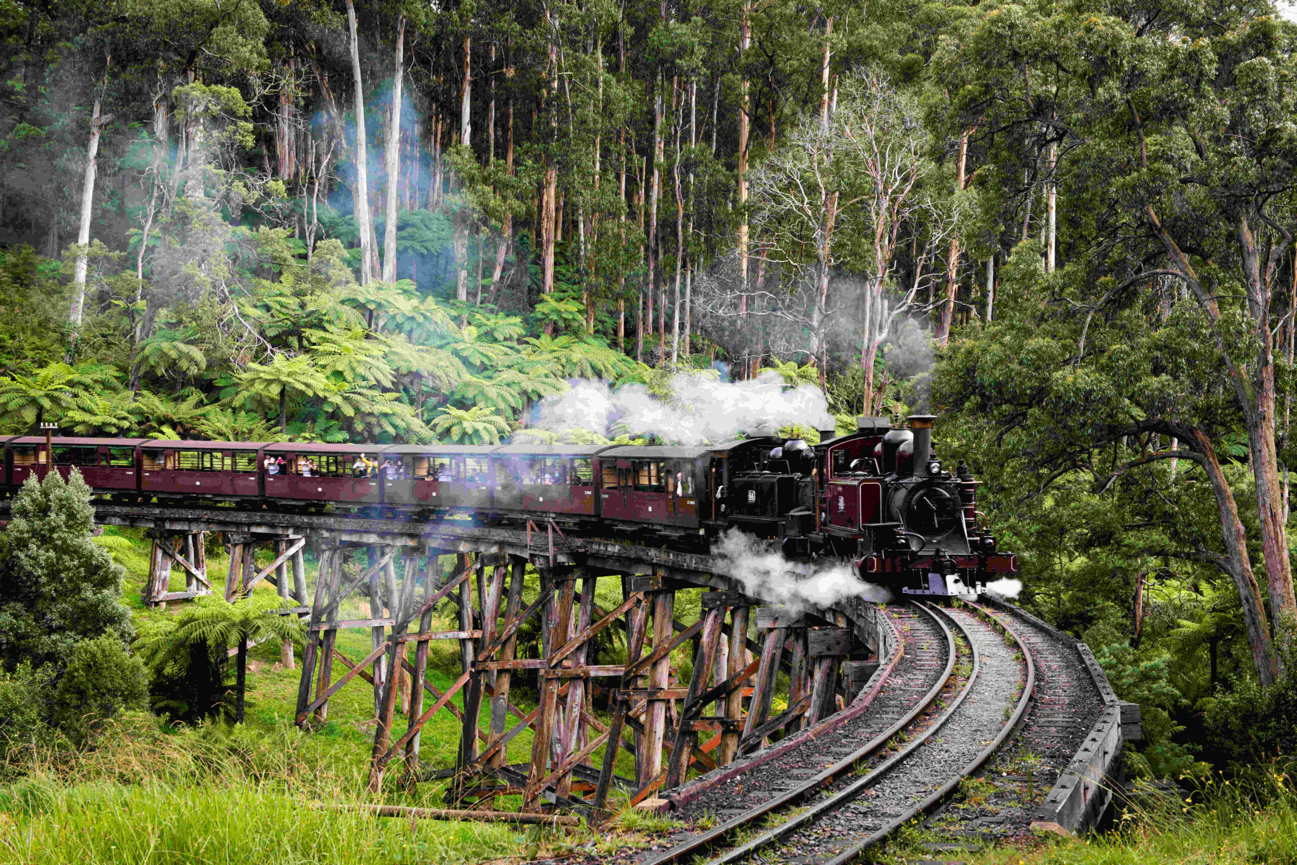 Melbourne: Puffing Billy & Penguin Parade Day Tour