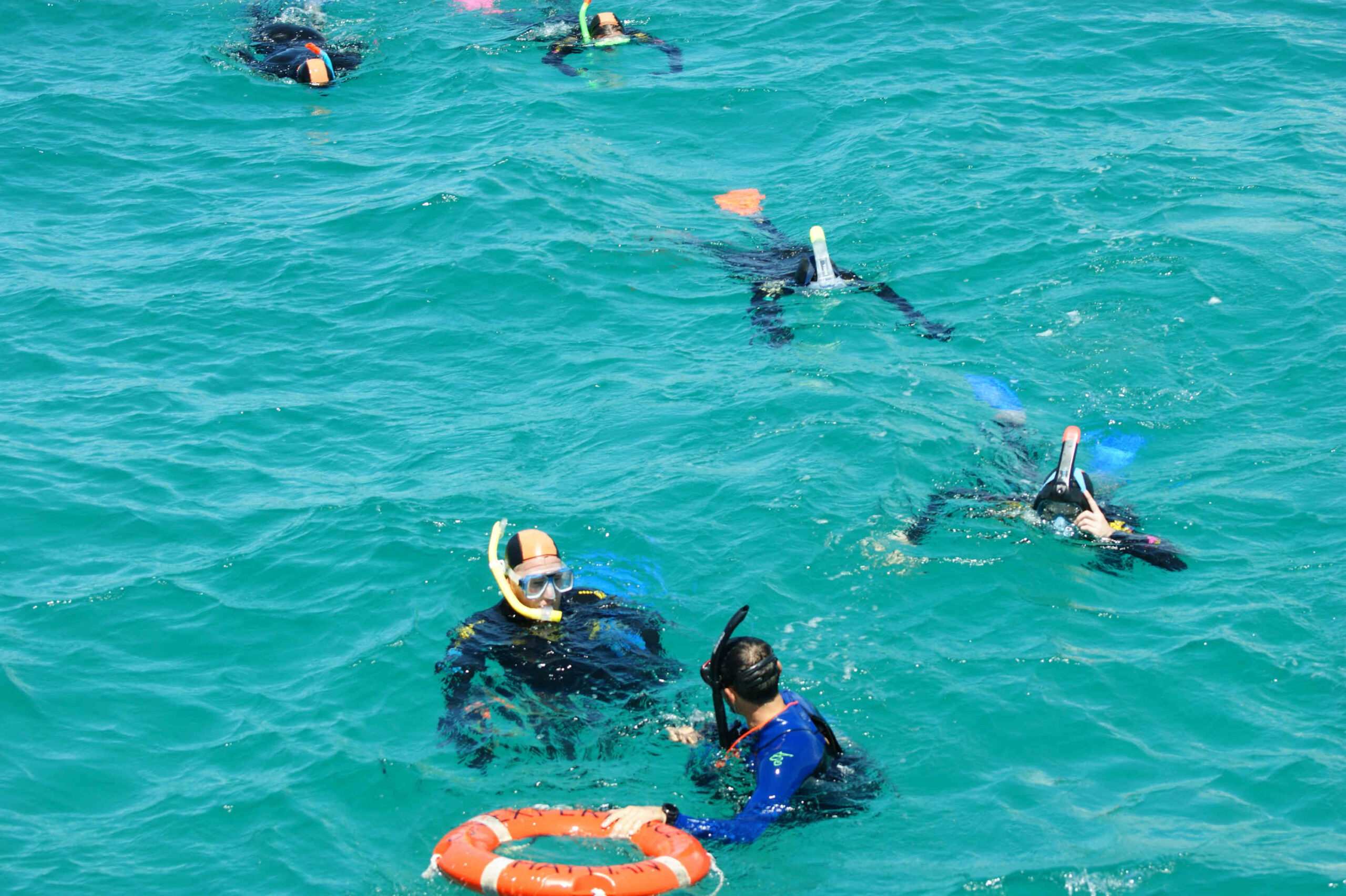 Reef & Island | Outer Great Barrier Reef & Dunk Island | Mission Beach Day Return | 9.00am