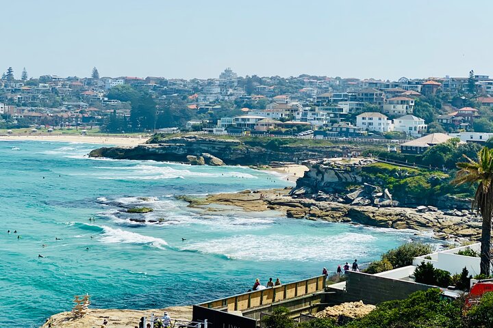 Sydney Beaches Half Day Drive and Walk Tour