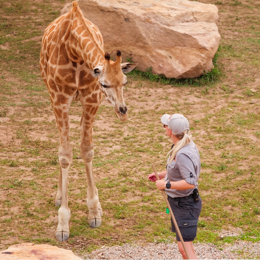 Private tour to Featherdale Wildlife Park