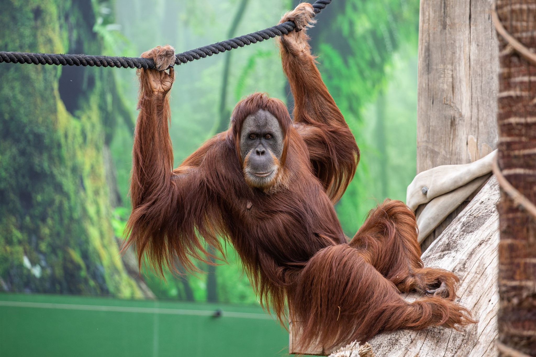 Private tour to Featherdale Wildlife Park