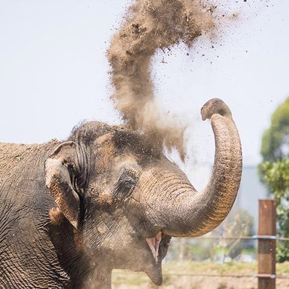 Private tour to Featherdale Wildlife Park