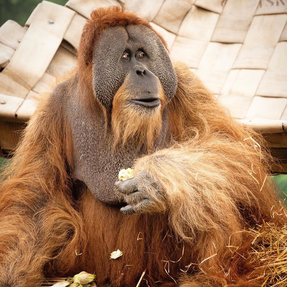 Private tour to Featherdale Wildlife Park