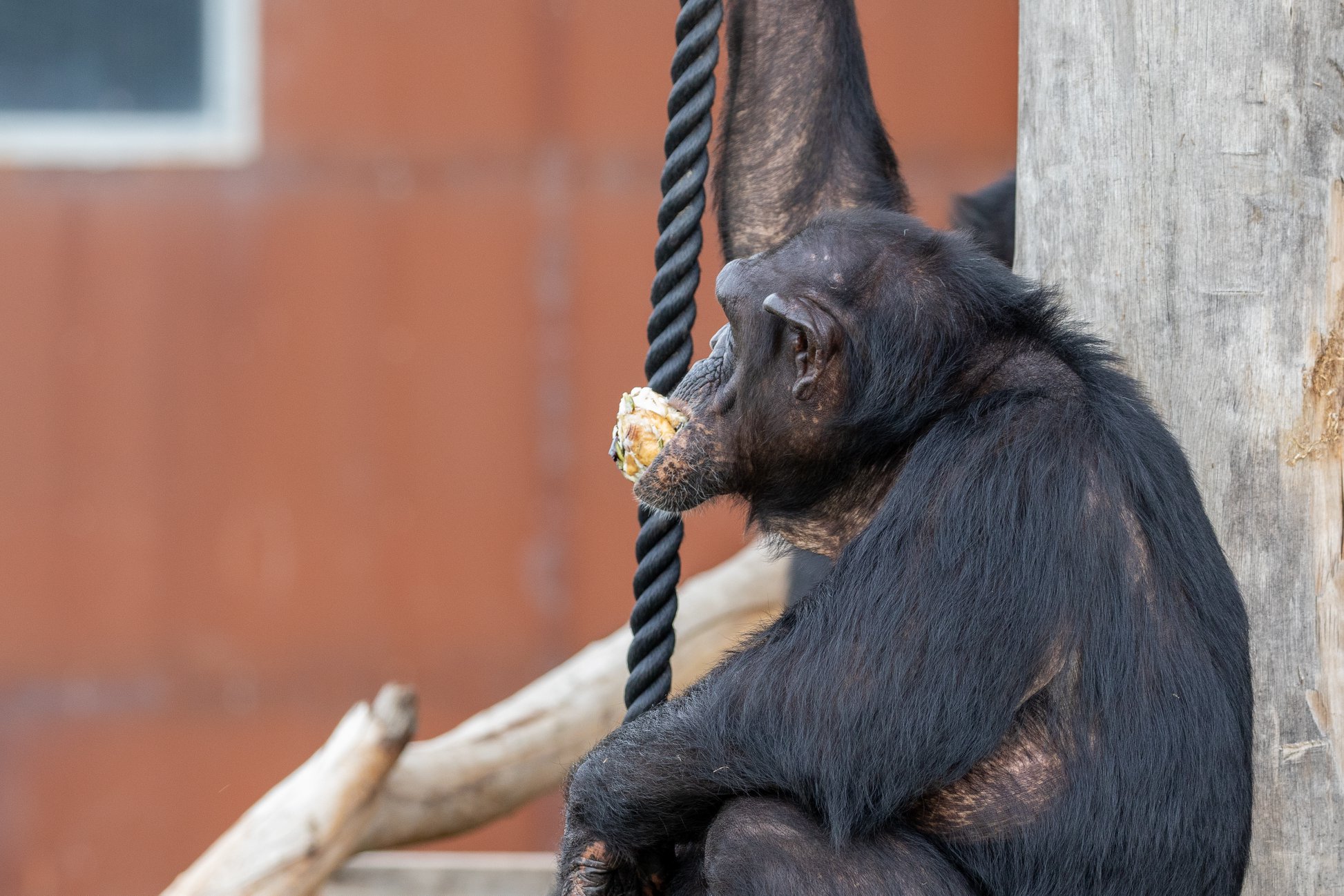 Private tour to Featherdale Wildlife Park