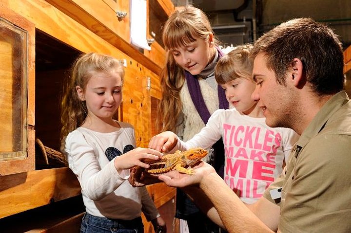 Behind-the-Scenes Tour at WILD LIFE Sydney Zoo