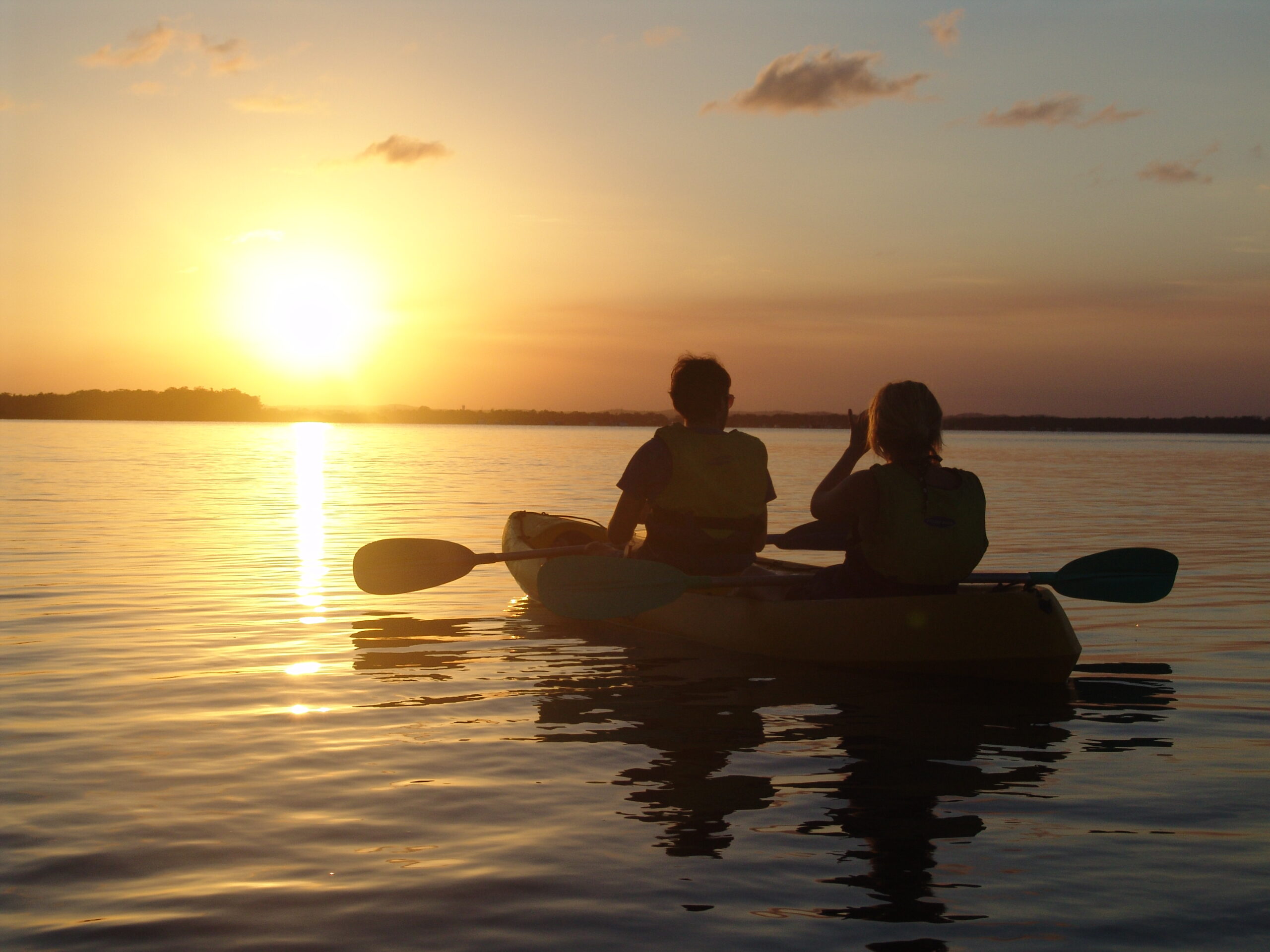 Noosa Heads Kayaking - Hidden Waterways & Wildlife Tour - 2.5 Hours