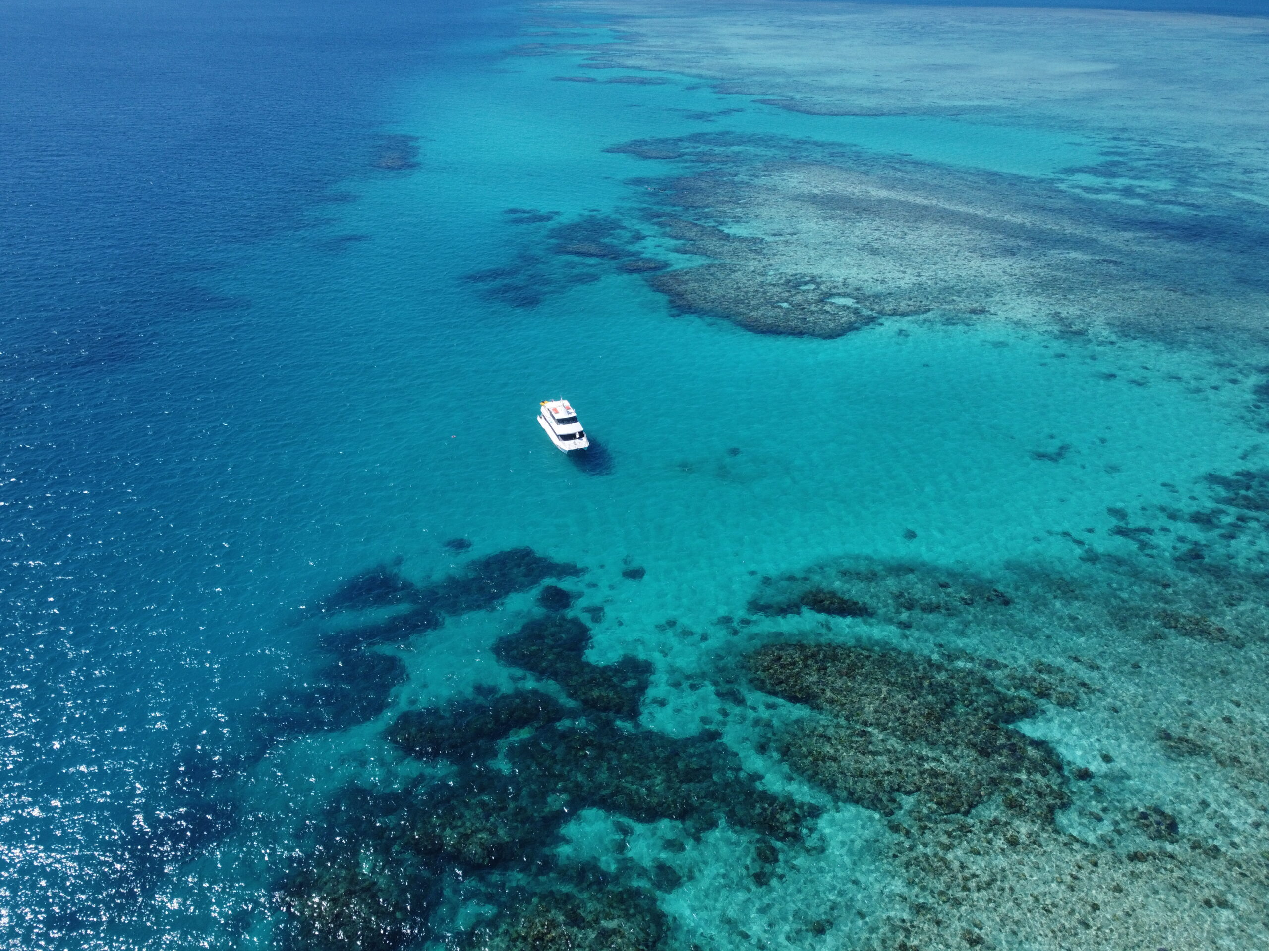 Explore Mission Beach Adventure Pass | Outer Reef & Dunk Island | Cairns Return | 6.30am