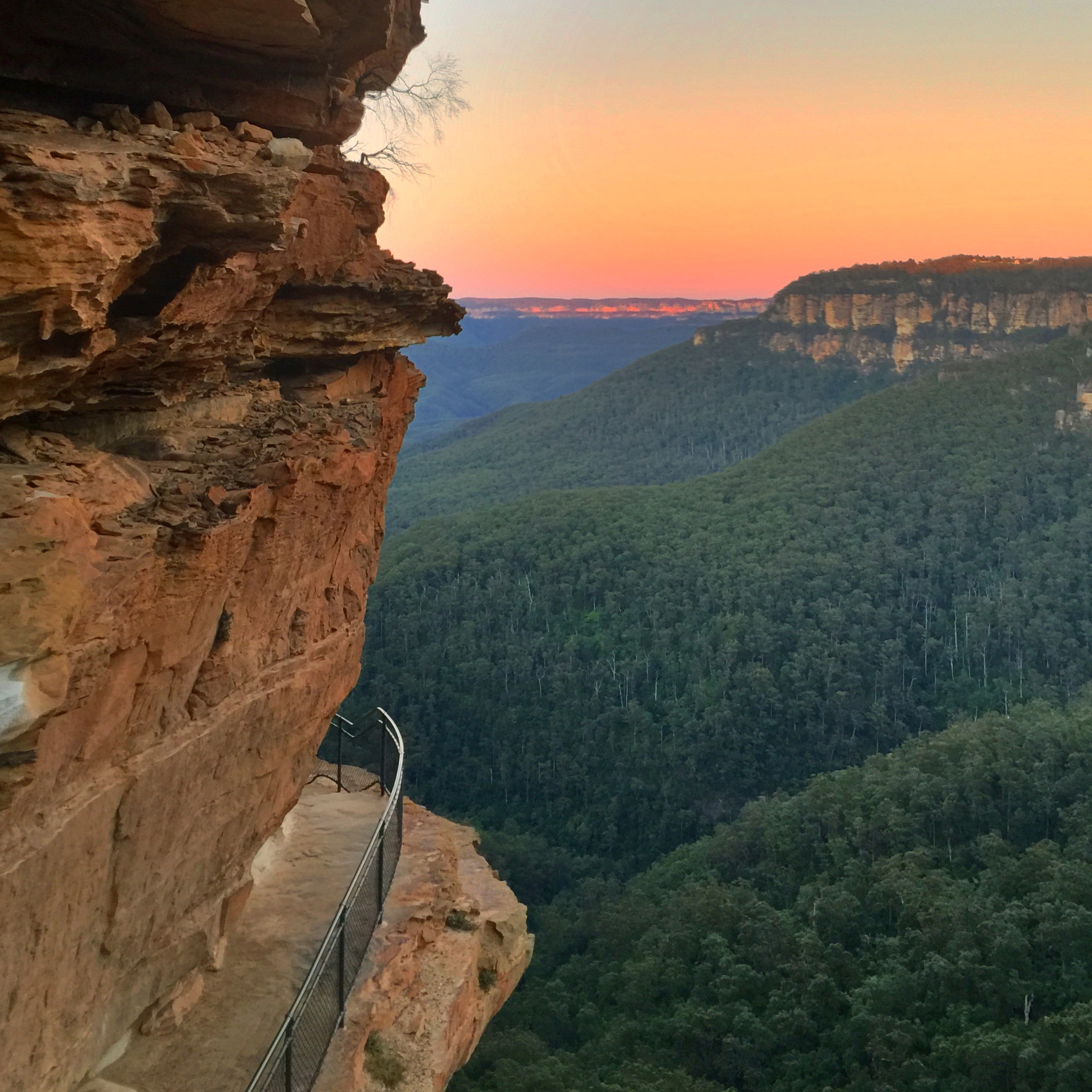 Blue Mountains &  Featherdale Wildlife Park Private Tour from Sydney