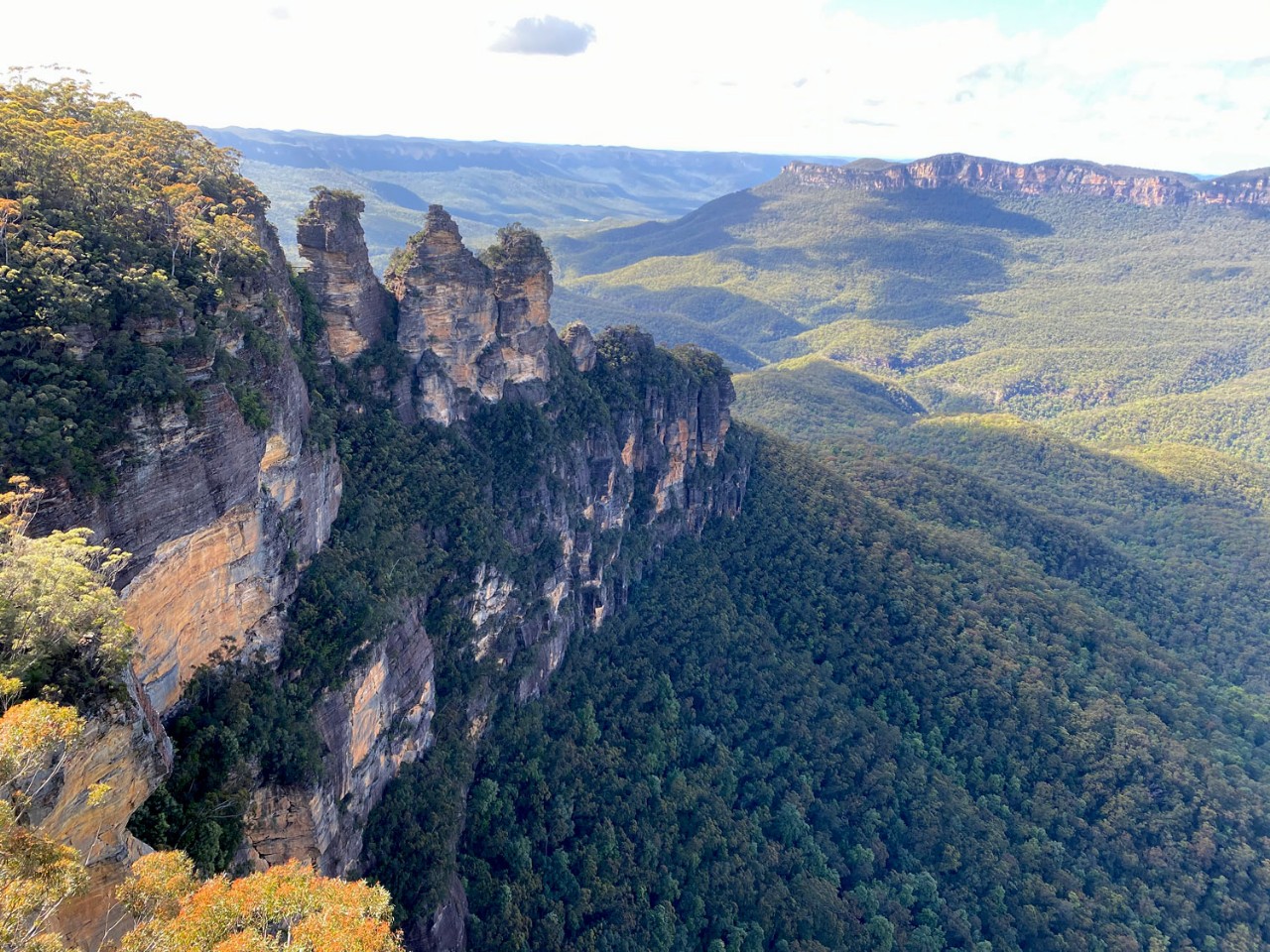 Blue Mountains &  Featherdale Wildlife Park Private Tour from Sydney