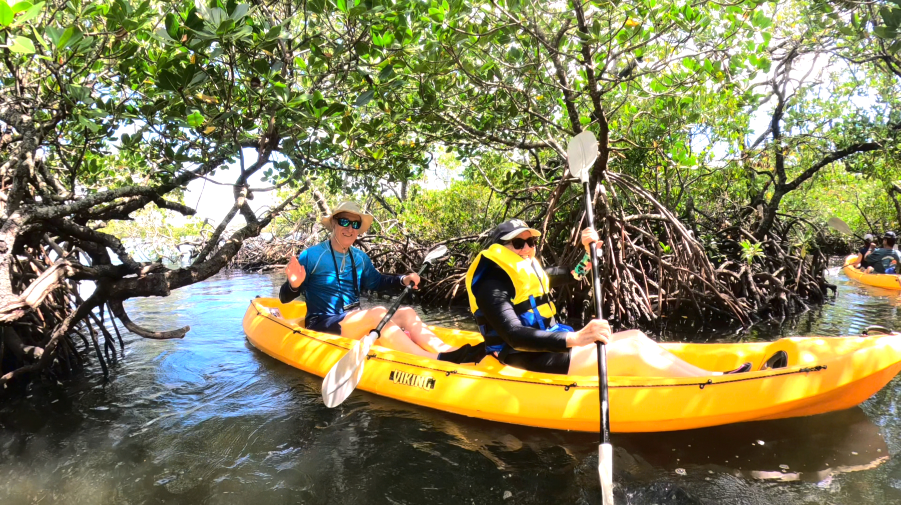 Noosa Heads: Hidden Waterways & Wildlife Kayak Tour – 2 Hours