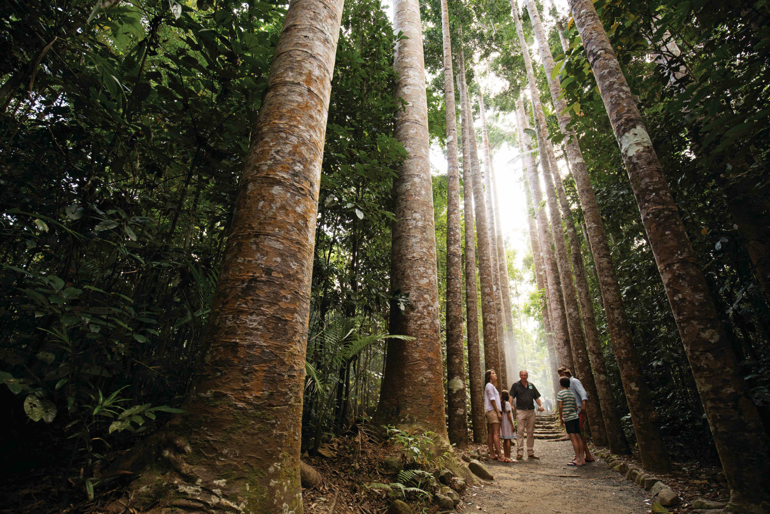 Dunk, Family Islands & Paronella Park | Cairns Day Return | 6.30am