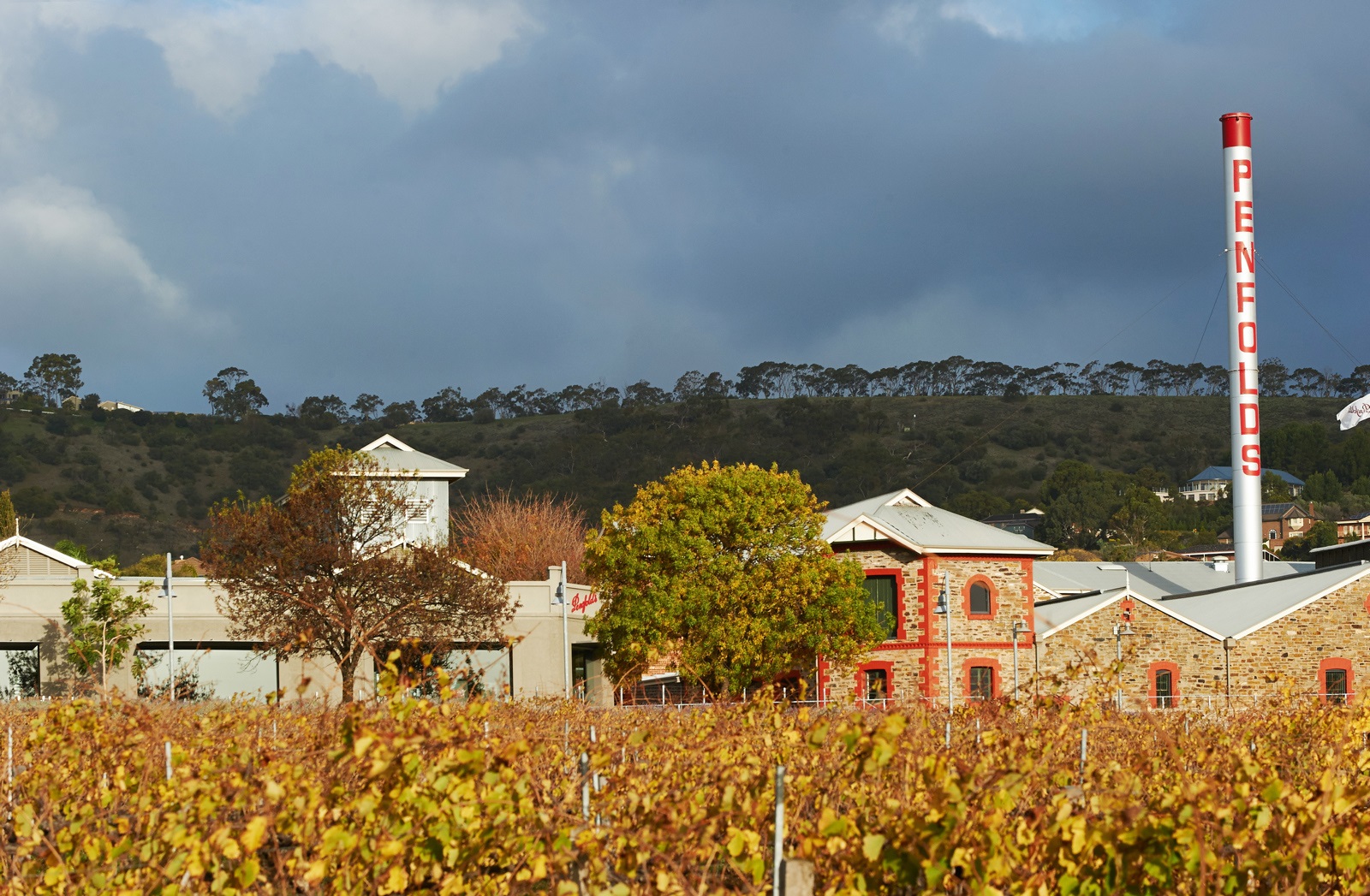 Waterfalls, Wildlife and Penfolds