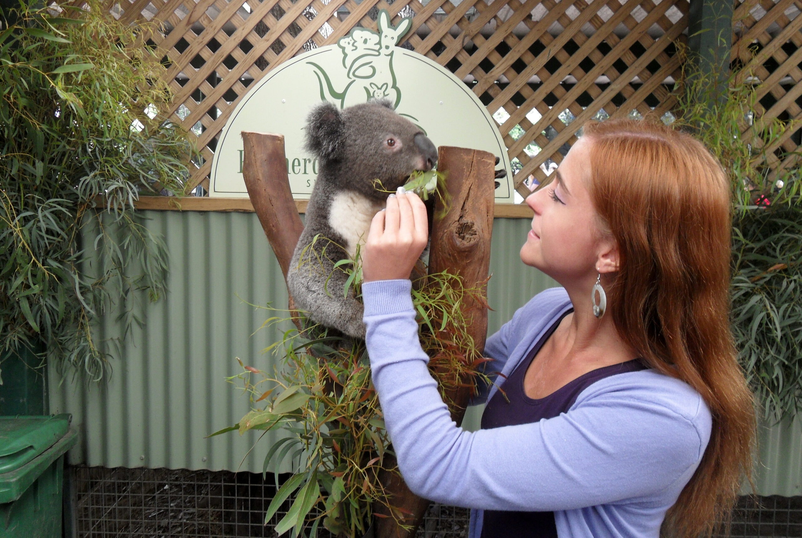 Private tour to Featherdale Wildlife Park