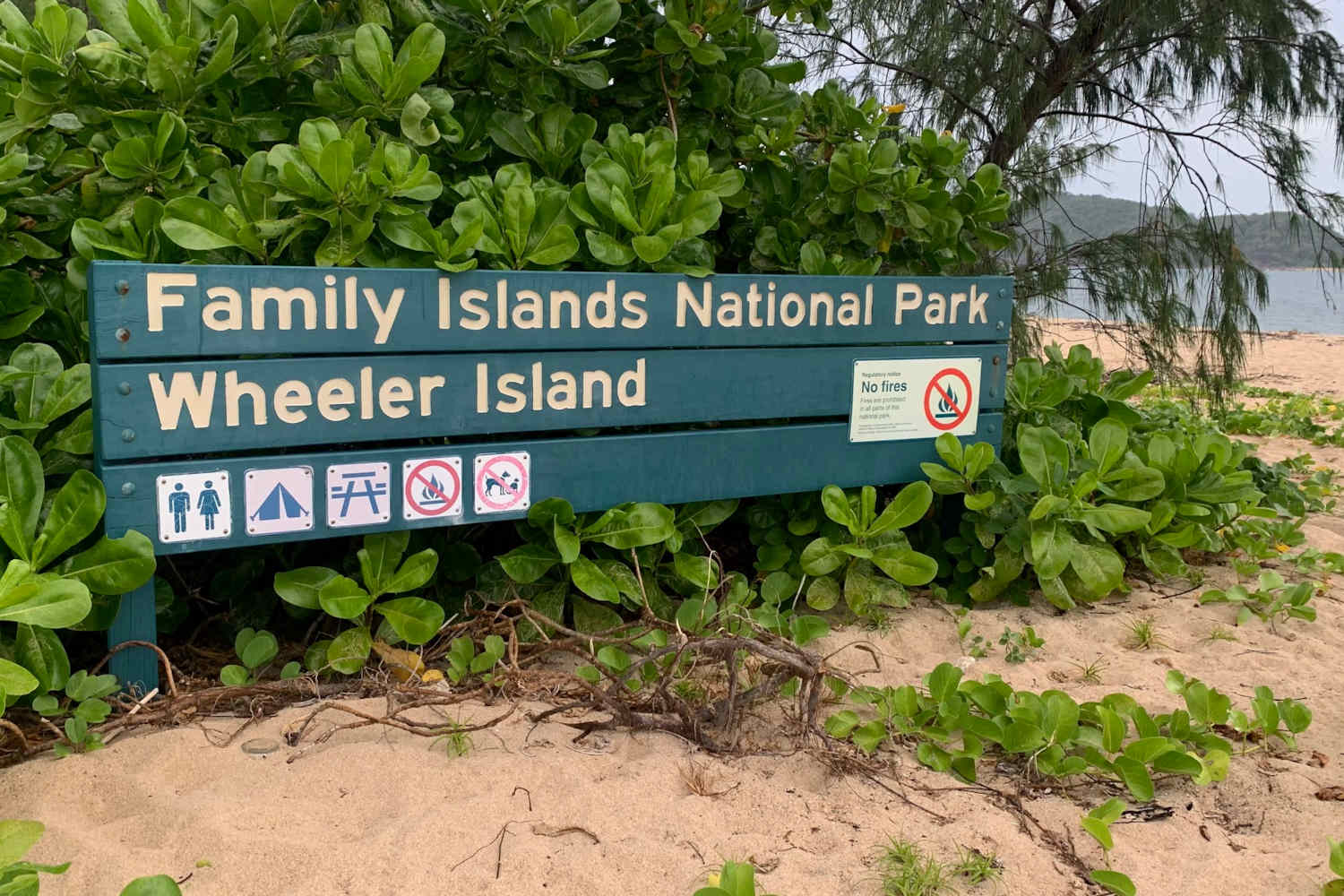 Dunk Island Ferry | Cairns to Bedarra/Wheeler/Coombe Islands |  One-Way