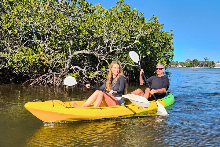 Noosa Heads Kayaking Activity and Wildlife Experience