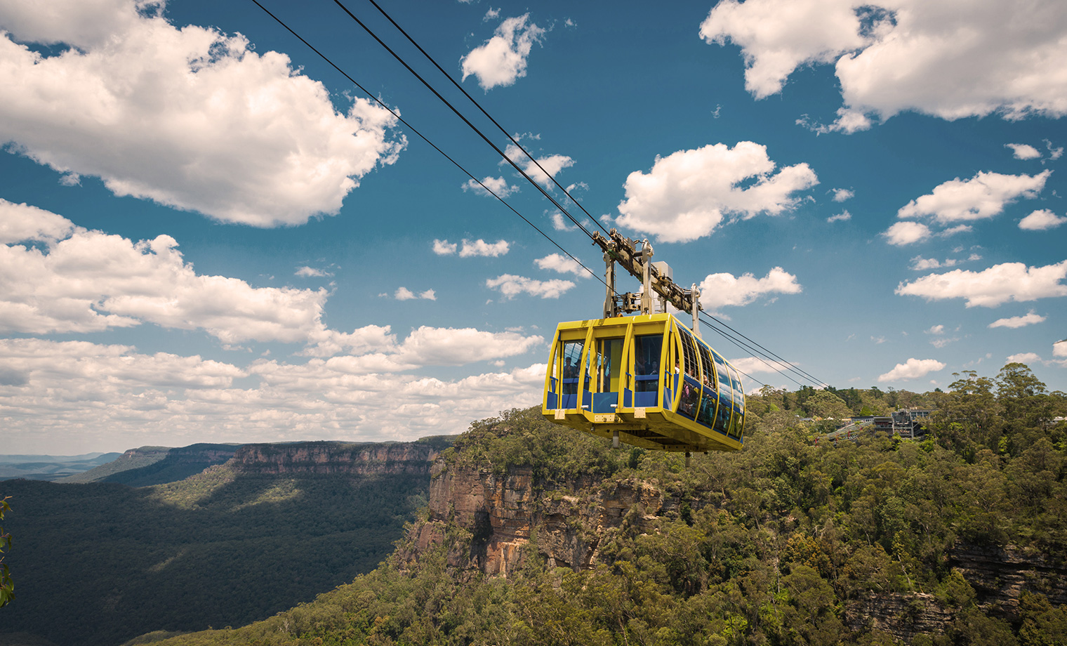 Blue Mountains &  Featherdale Wildlife Park Private Tour from Sydney