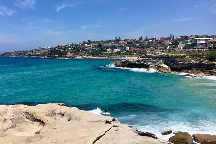 Sydney Beaches Half Day Drive and Walk Tour