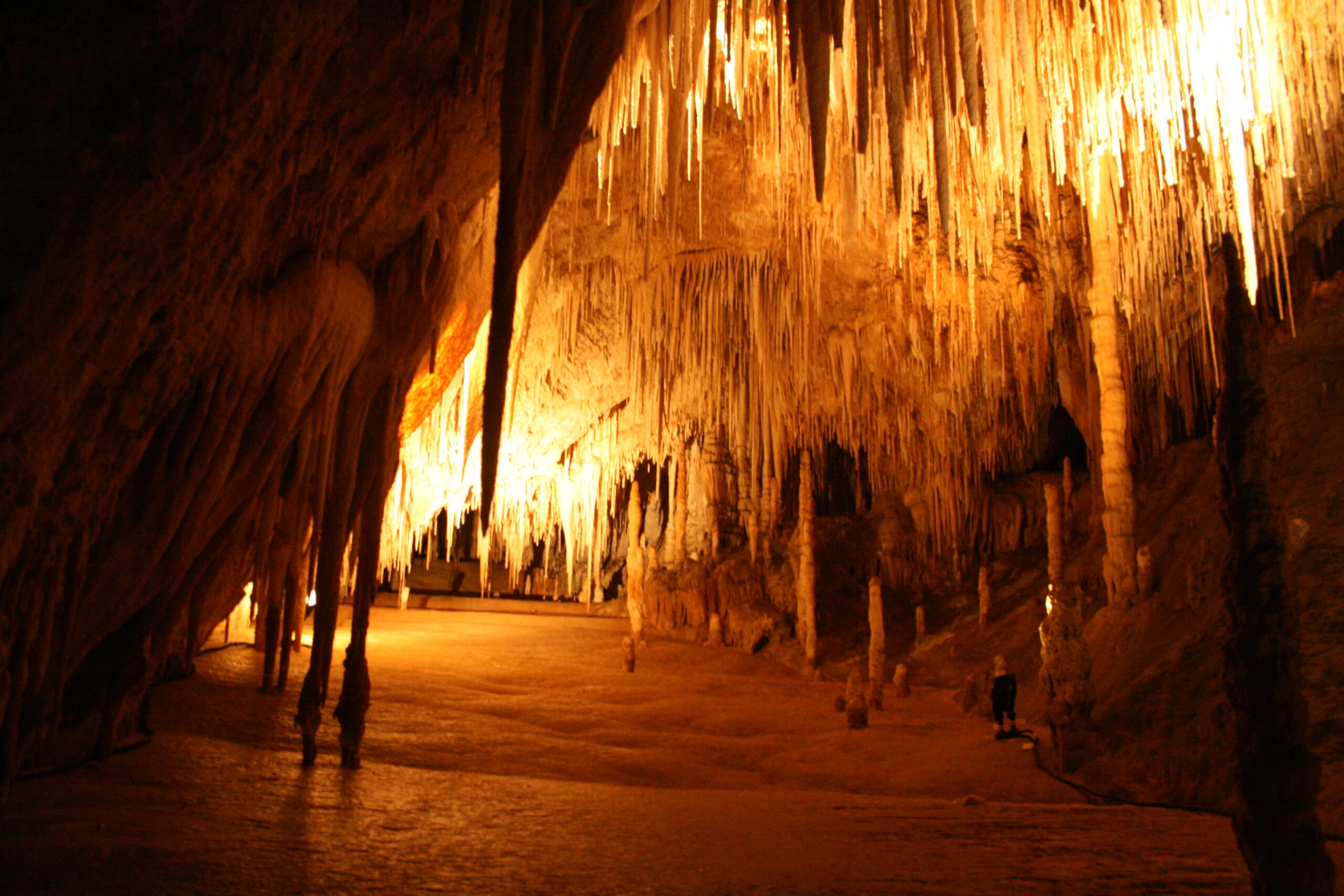 Hastings cave, Tahune Airwalk and the Huon tasting trail