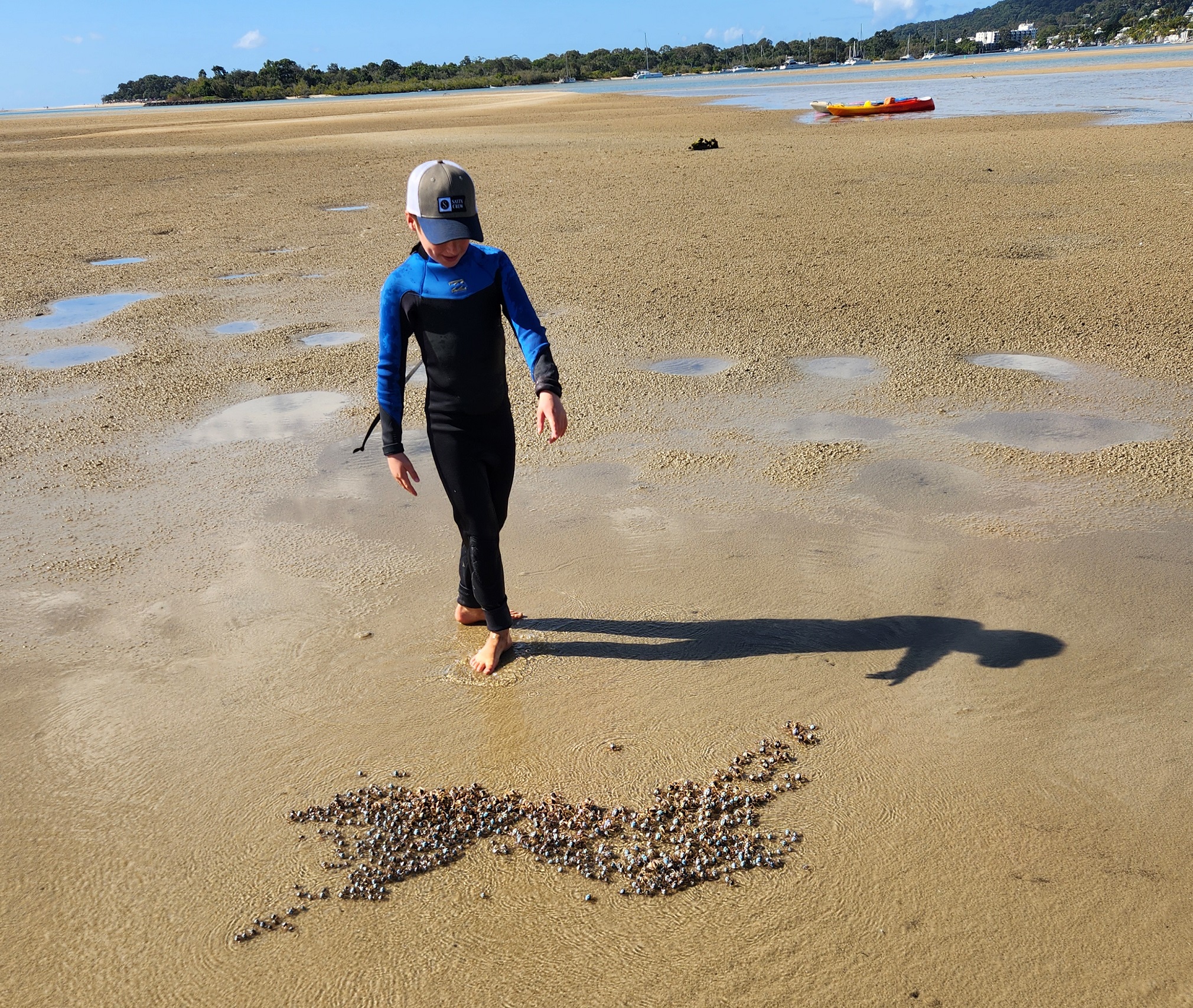 Noosa Heads Kayaking - Hidden Waterways & Wildlife Tour - 2.5 Hours