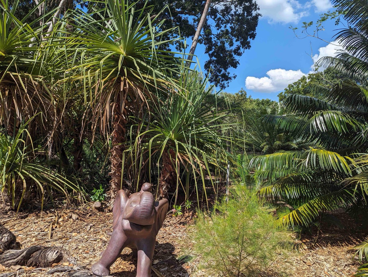 Full Day Tropical Gardens Tour with Outback Gourmet Meal & Sightseeing