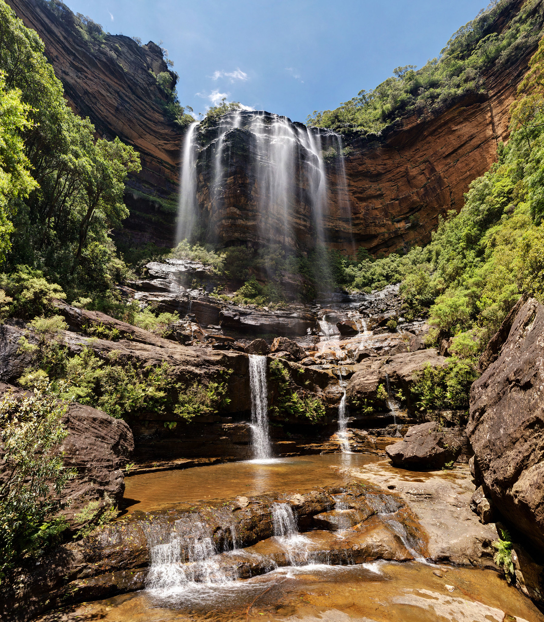 Blue Mountains &  Featherdale Wildlife Park Private Tour from Sydney