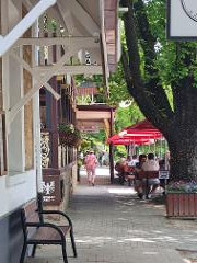 Steamranger Railway, Adelaide Hills and Hahndorf Day Tour