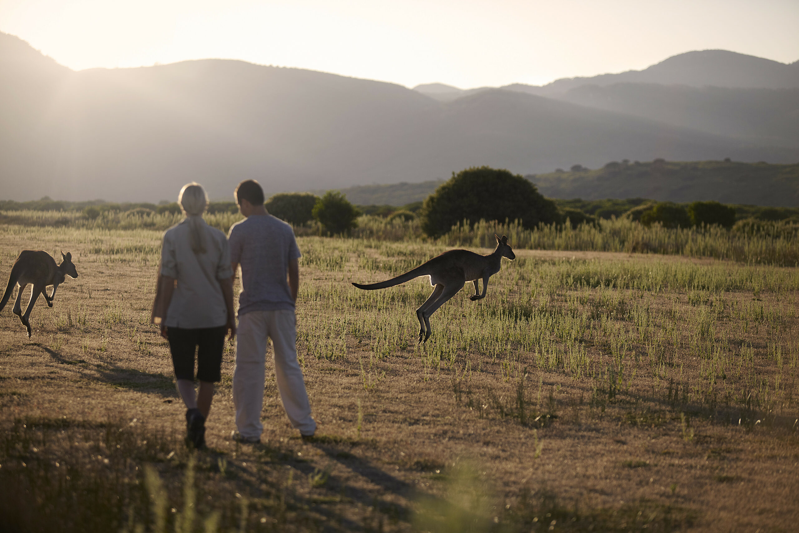 Wilsons Promontory Wilderness Tour (CPickup)