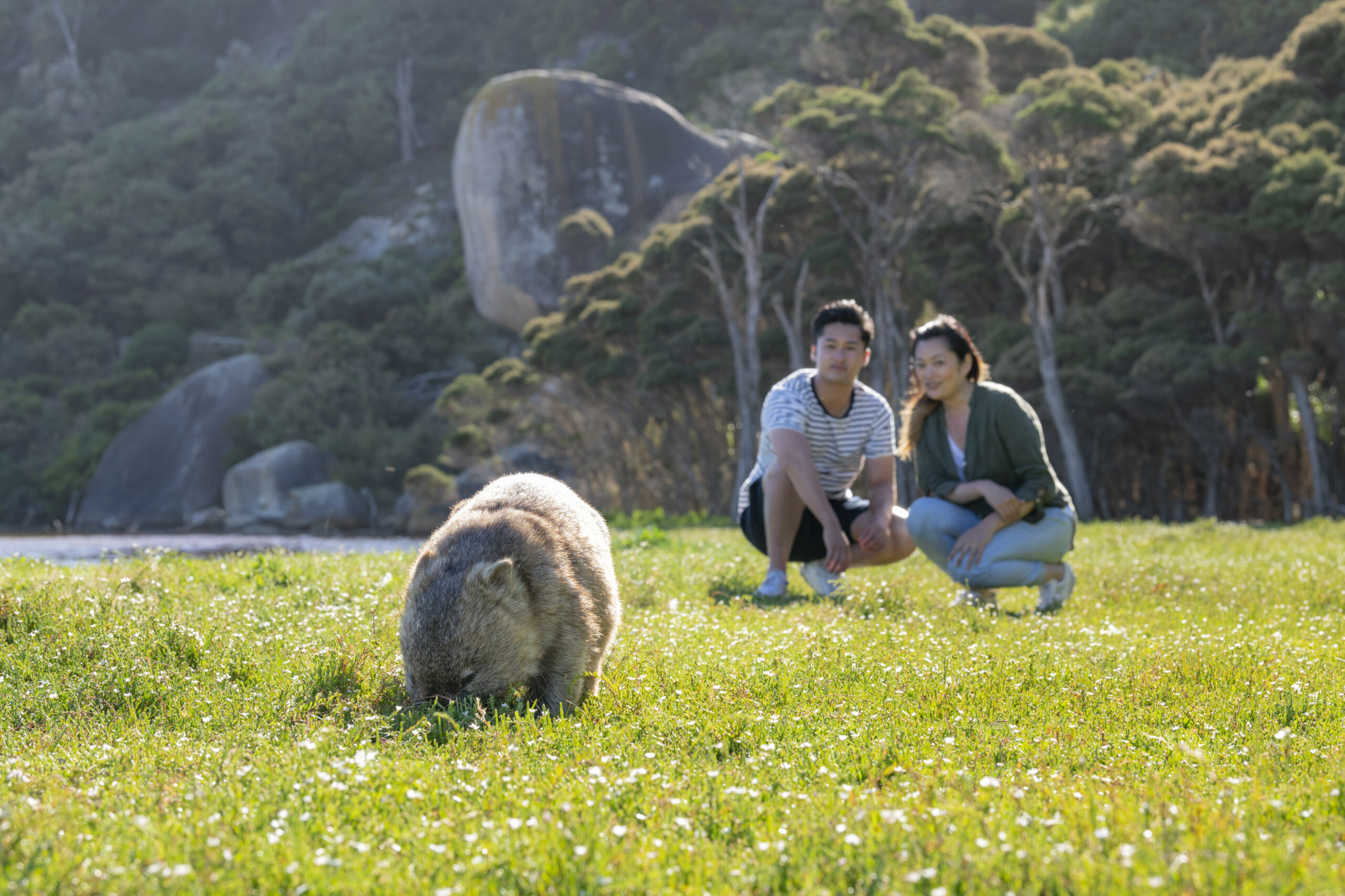 Wilsons Promontory Wilderness Tour (CPickup)