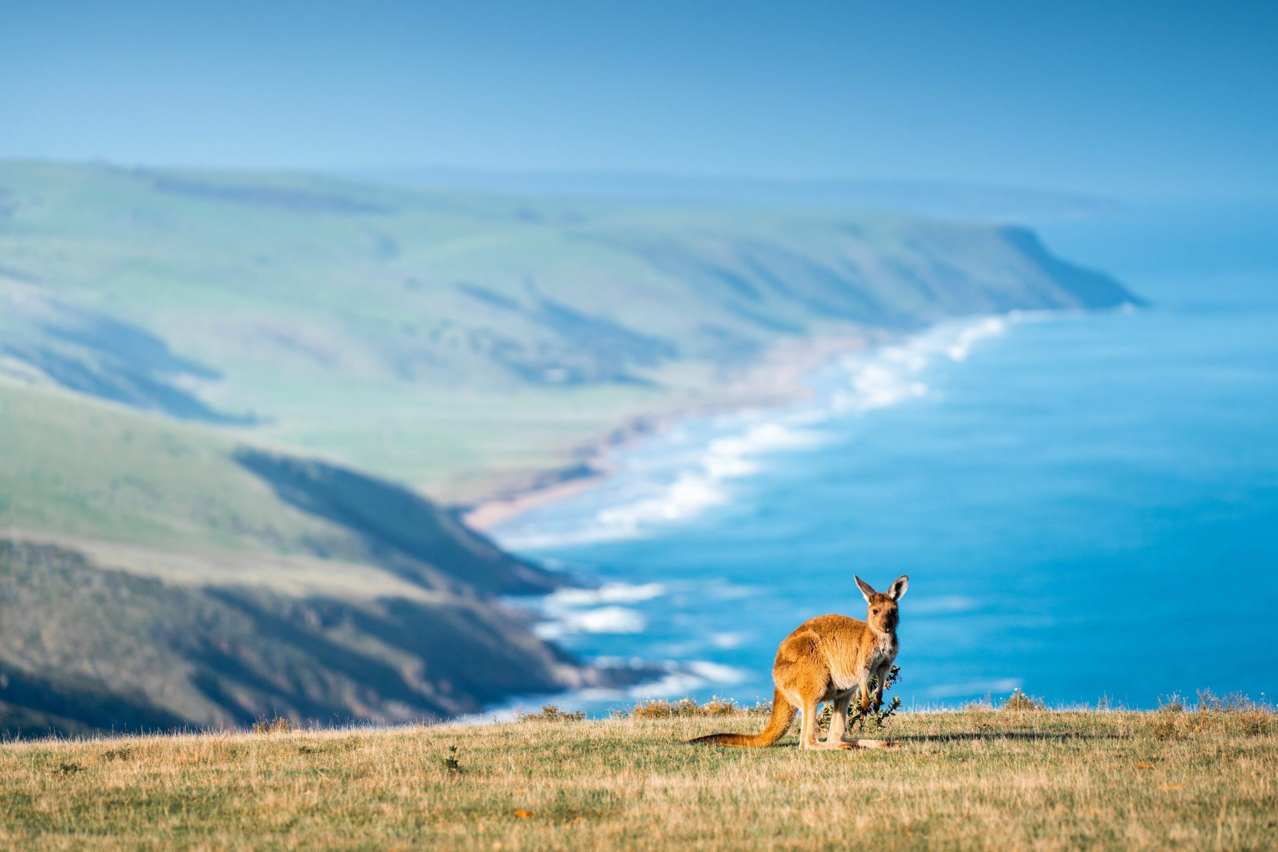 Deep Creek 4WD and Native Food Experience