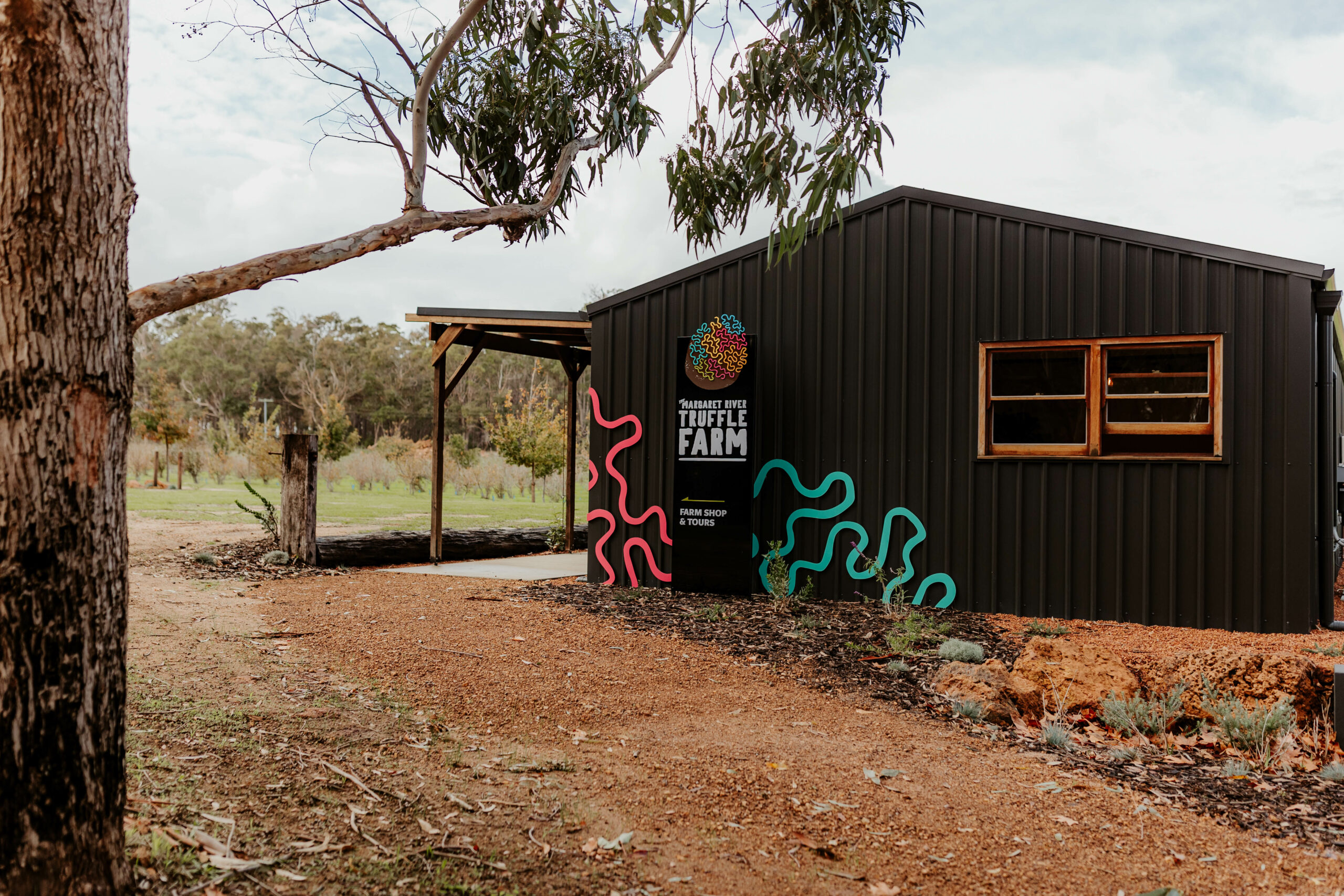 Dig Deep - Margaret River Truffle Hunt Experience