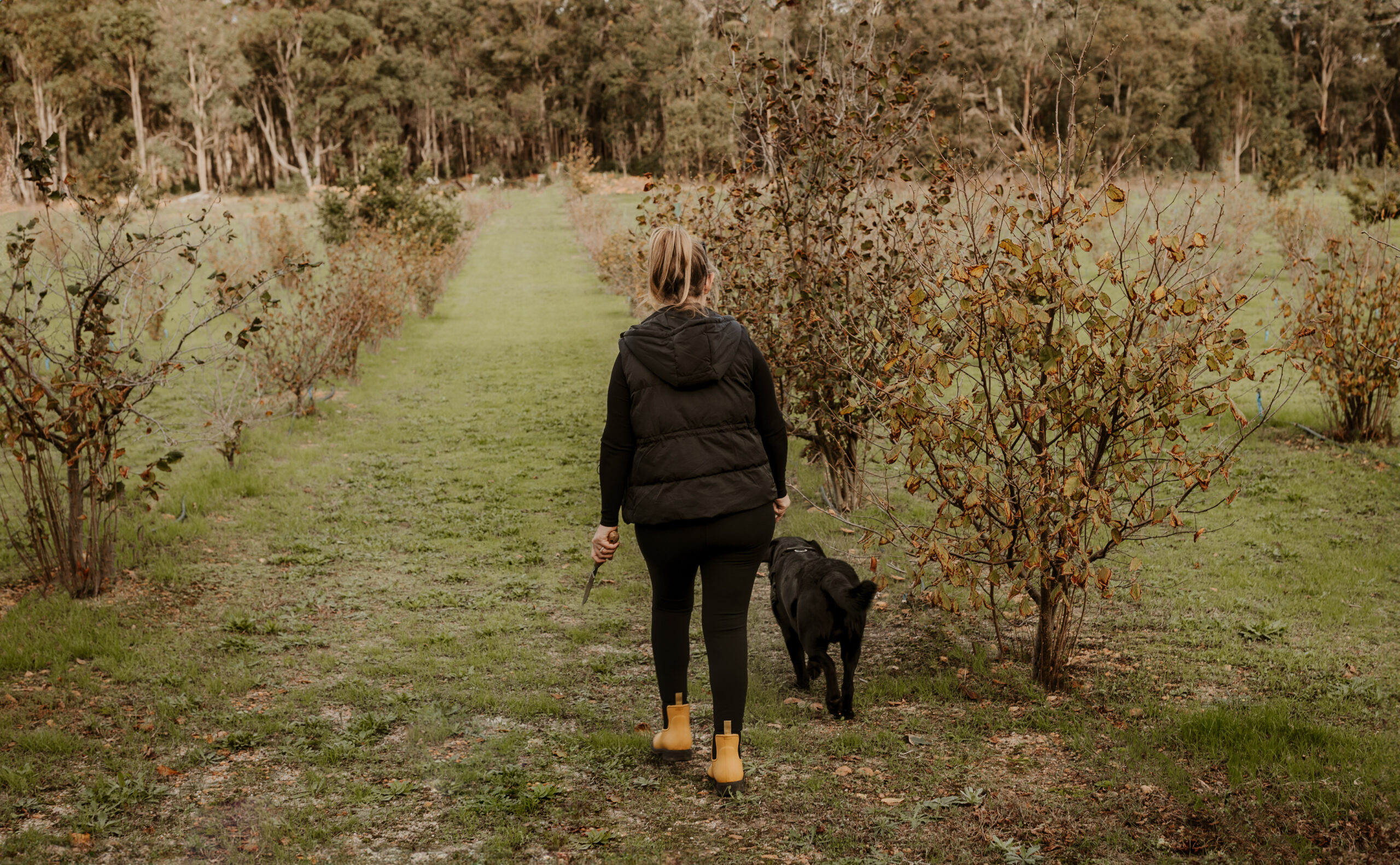 Dig Deep & Eat - Margaret River Truffle Hunt Experience and Lunch