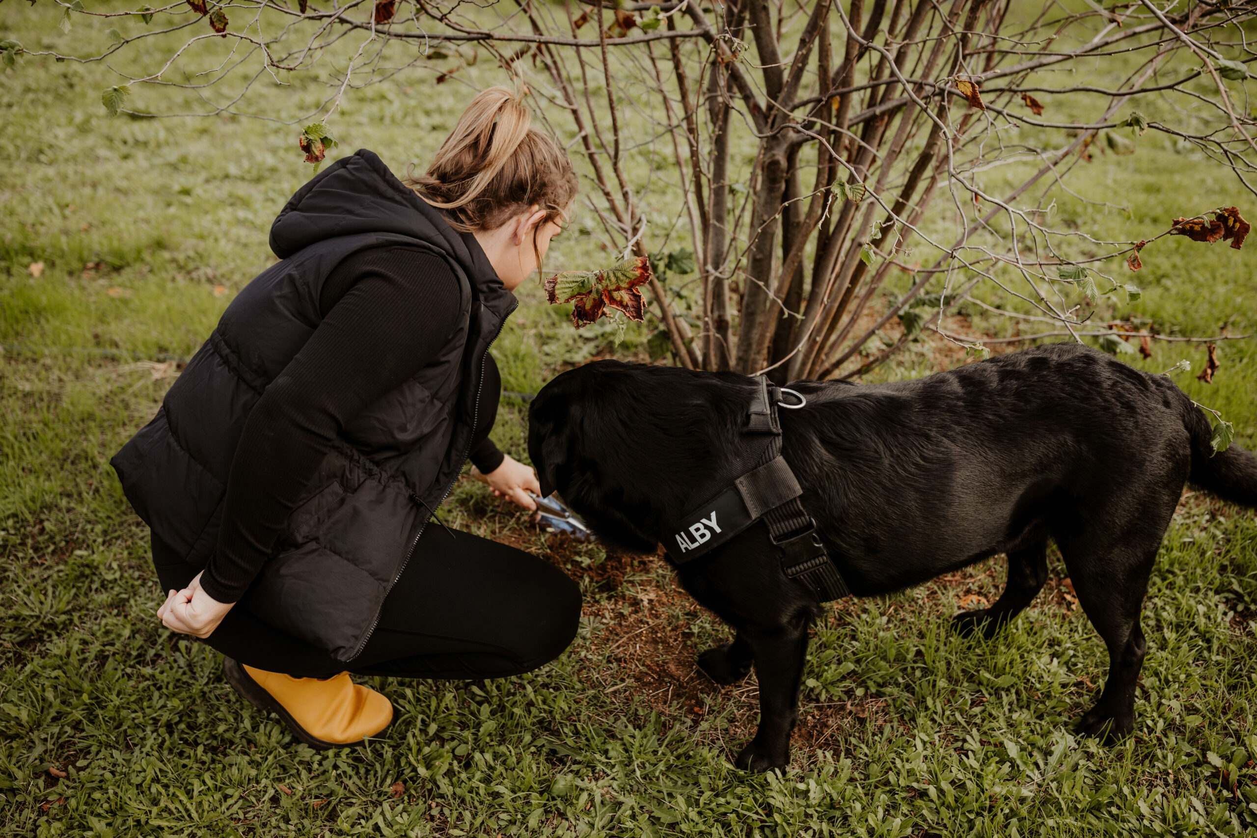 Dig Deep & Eat - Margaret River Truffle Hunt Experience and Lunch