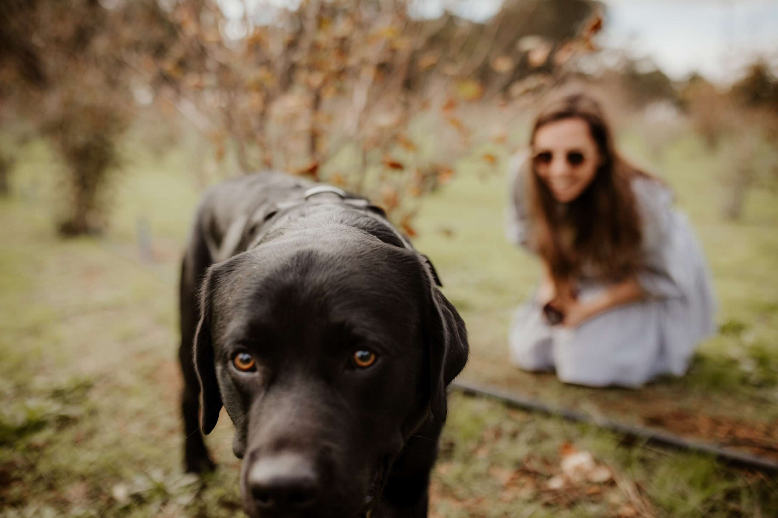 Dig Deep & Eat - Margaret River Truffle Hunt Experience and Lunch