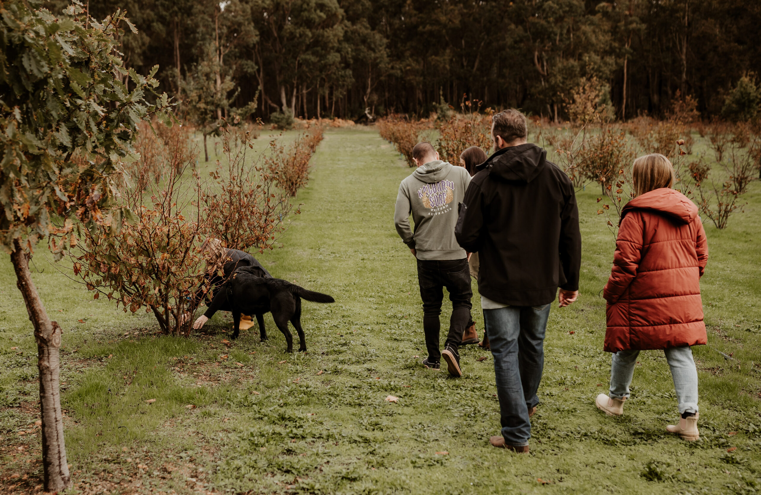 Dig Deep & Eat - Margaret River Truffle Hunt Experience and Lunch