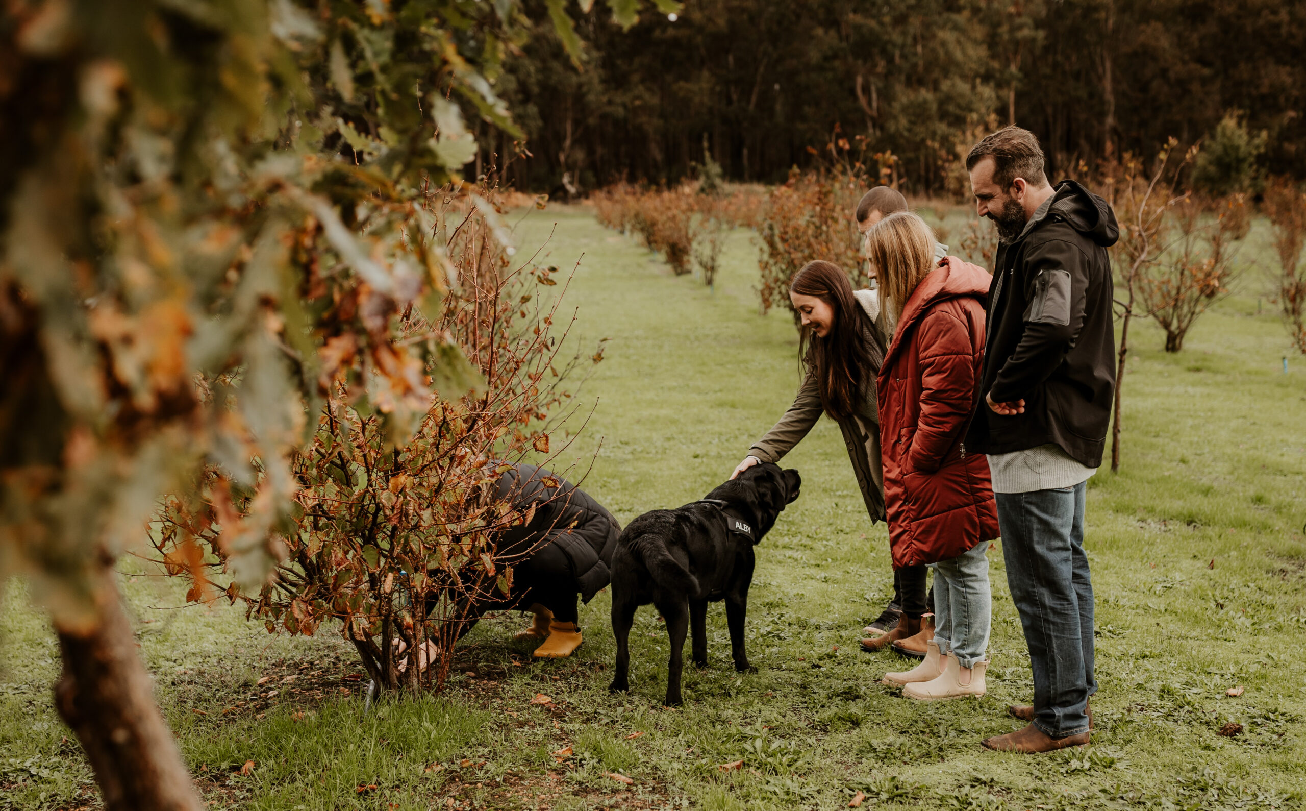 Dig Deep & Eat - Margaret River Truffle Hunt Experience and Lunch