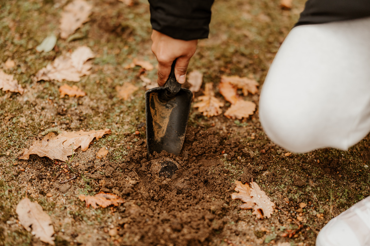 Dig Deep & Eat - Margaret River Truffle Hunt Experience and Lunch