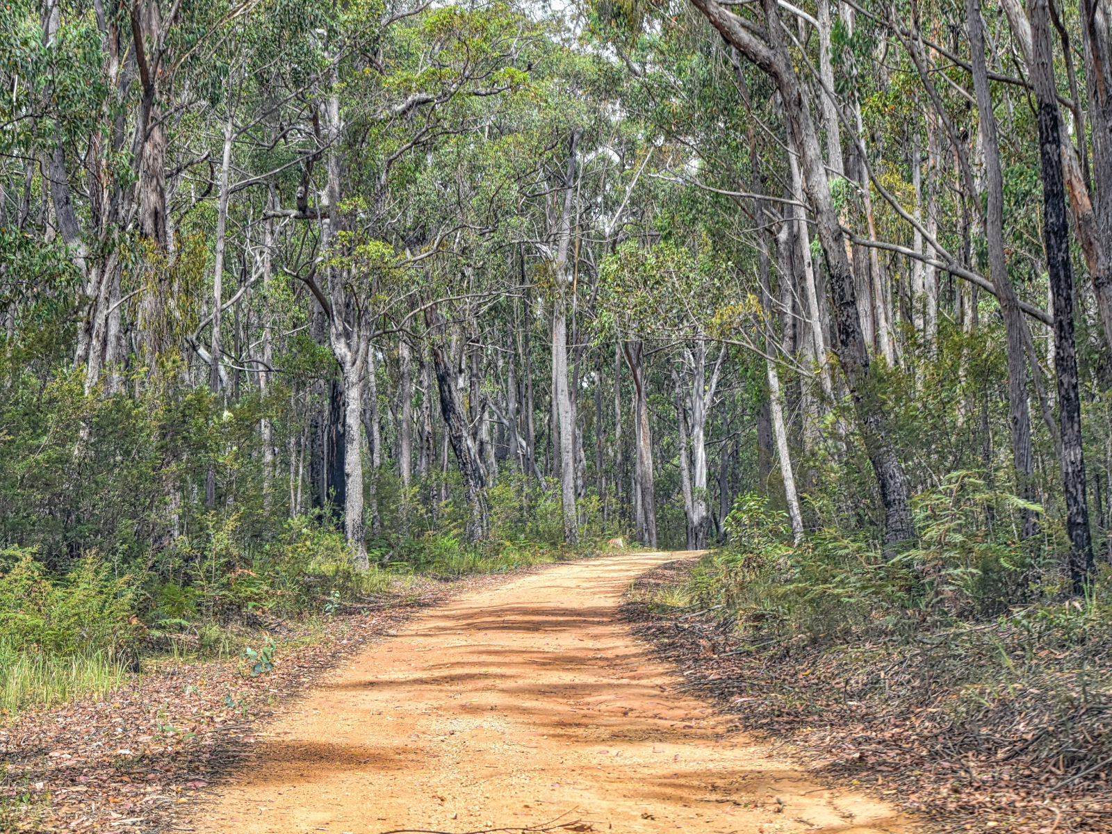 Deep Creek 4WD to Boat Harbor & Native Food Experience (4 Hours)