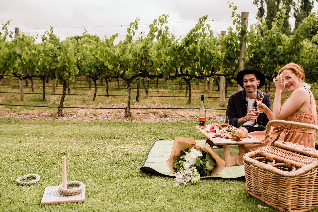 Gourmet Picnic at Historic St Hallett by helicopter